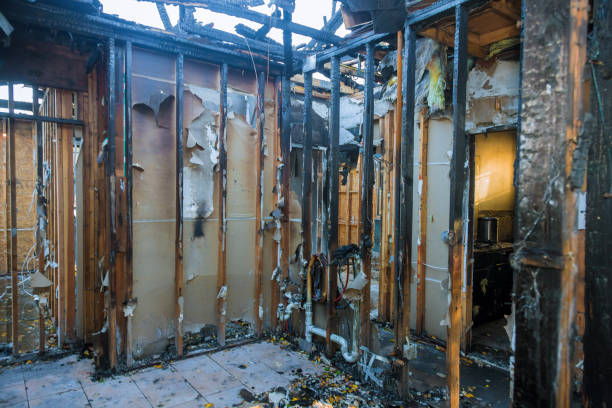 Professional Emergency Fire Cleanup technician working in Wrightwood, CA